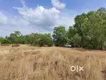 40 cent land in perole, nileshwar