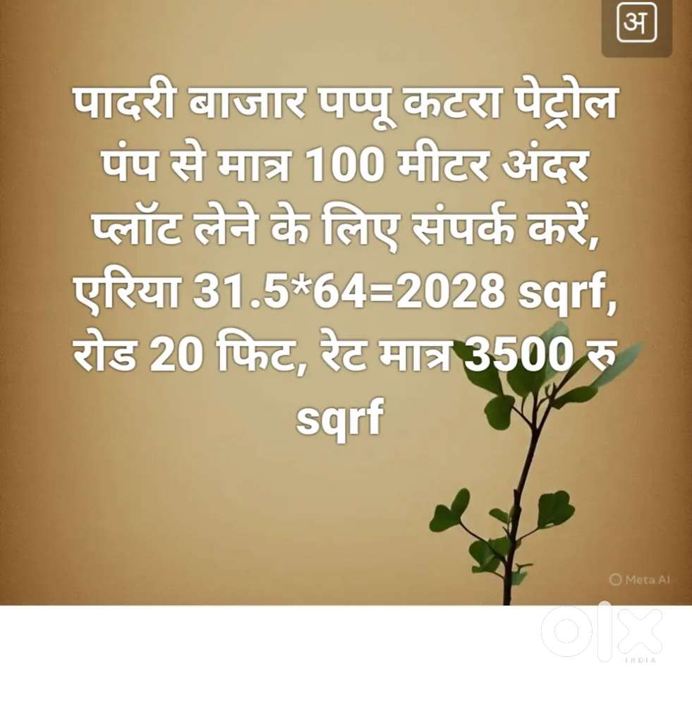 यह प्लॉट पादरी बाजार पप्पू कटरा पेट्रोल पंप से मात्र 100 मीटर अंदर हैं