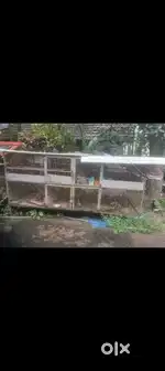 Kozhi kood