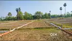 Plot available in greater patna bihta me