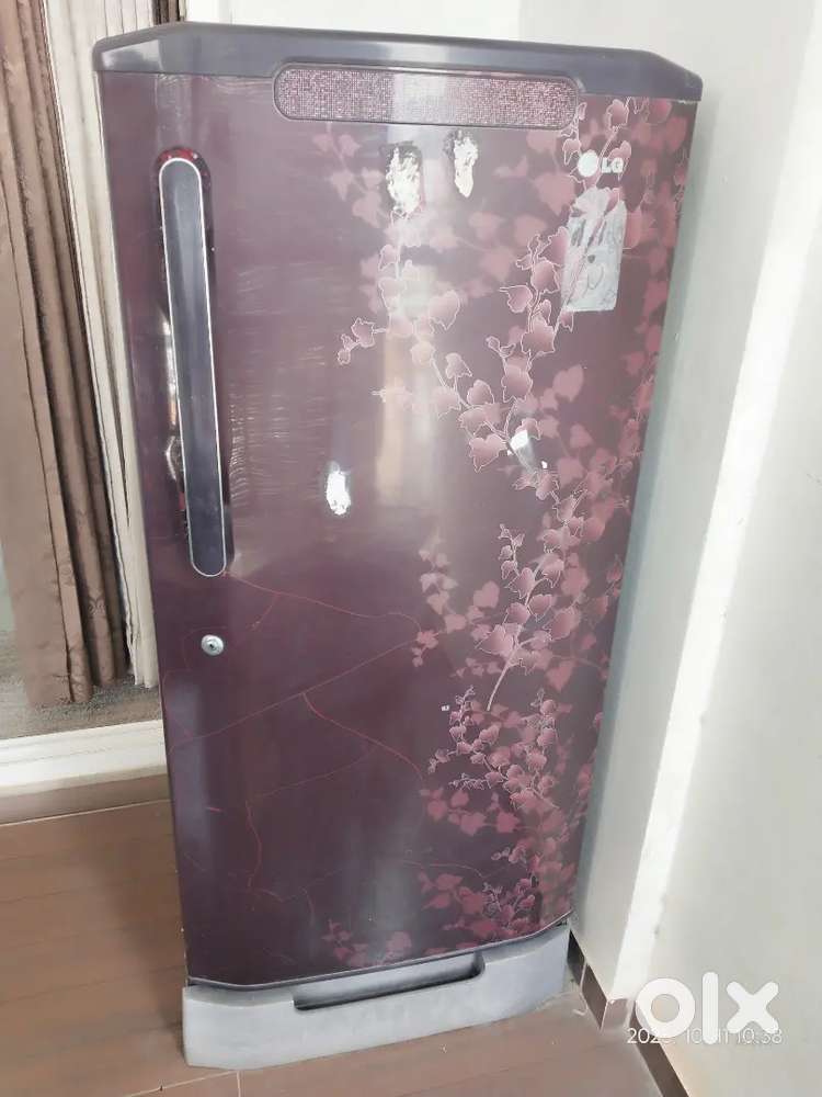 LG company,165 L