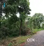 PLOT FOR SALE