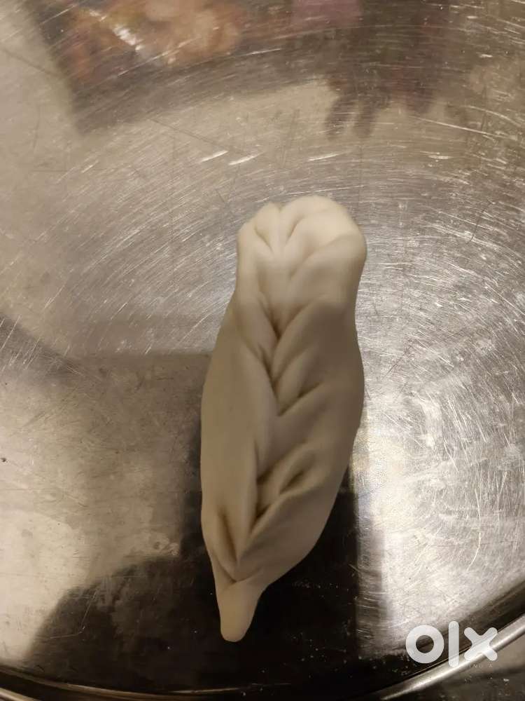 Momos kart par sale karna h fry steam momos