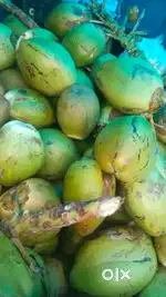 Account for fruits and vegetables
