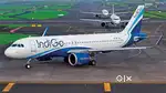 Now hiring for indigo airlines apply fast