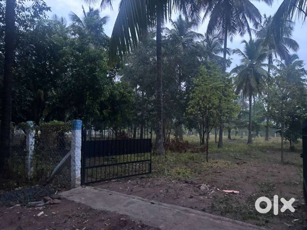 Prime 85-Cent Farmland for Sale in Alandurai Near Isha Yoga Center