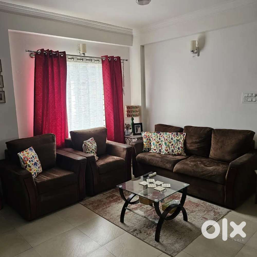 Used Damro 5 seater coffee brown sofa, coffee table and rug