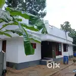Koonammave chirayam,4.250cent,2bhk