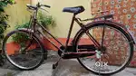 Atlas Supreme cycle