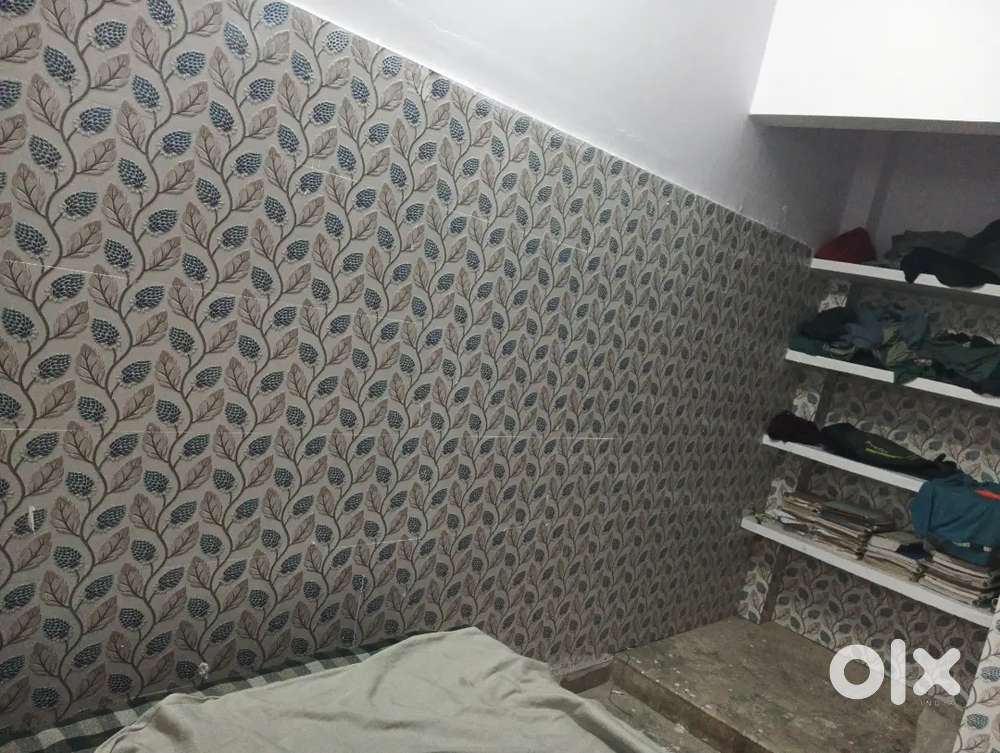 Need  male room partner