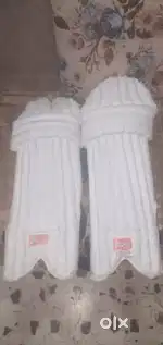LIMITED EDITION