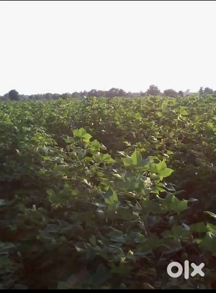 3 acer land is for sell