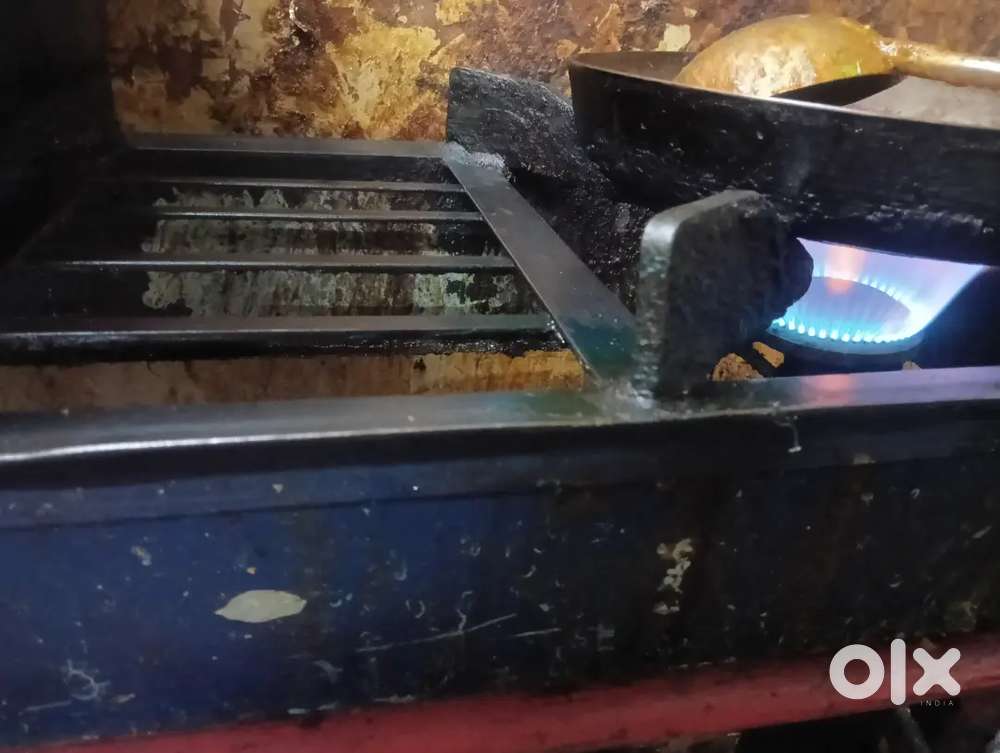 Chalu 3 barnal segdi kuchen besin