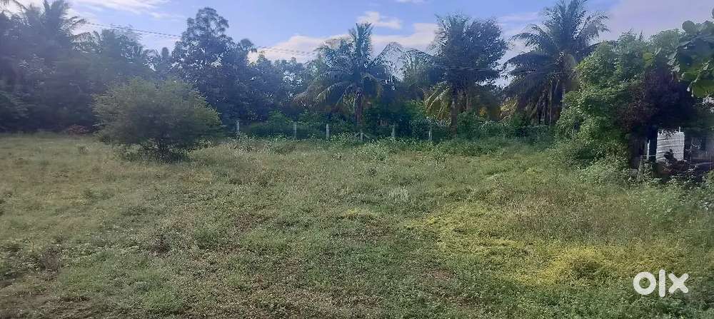 Plot Near Tirumugan school near,registration office