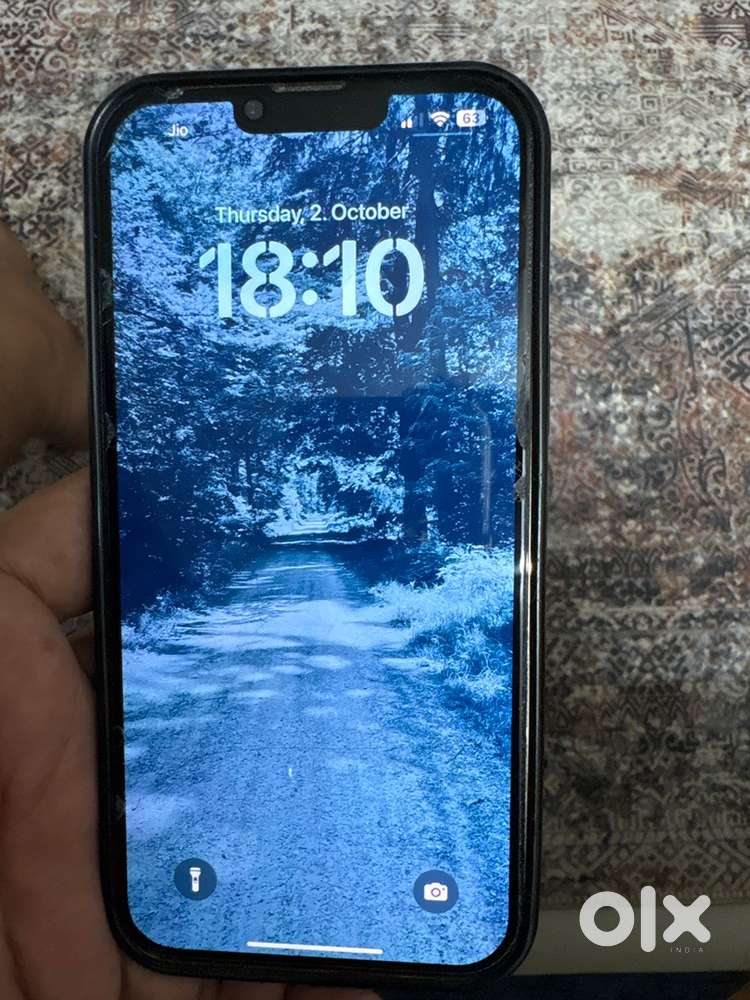 Iphone 13 max Pro