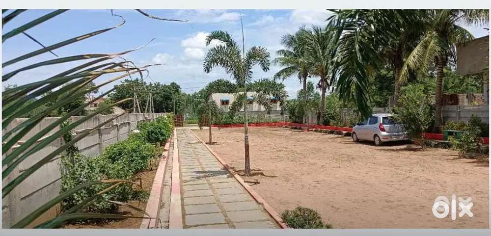 Sale of my 30 Cents Land withCompound wall