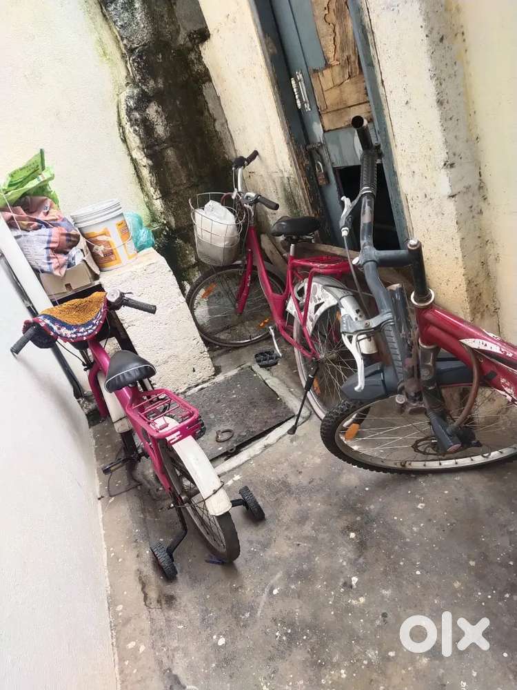 bsa leady bird cycle  atlas boss cycle