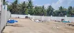 Ganapathi roots company Near