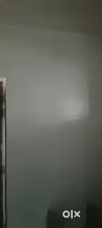 Laundry pick up and drop