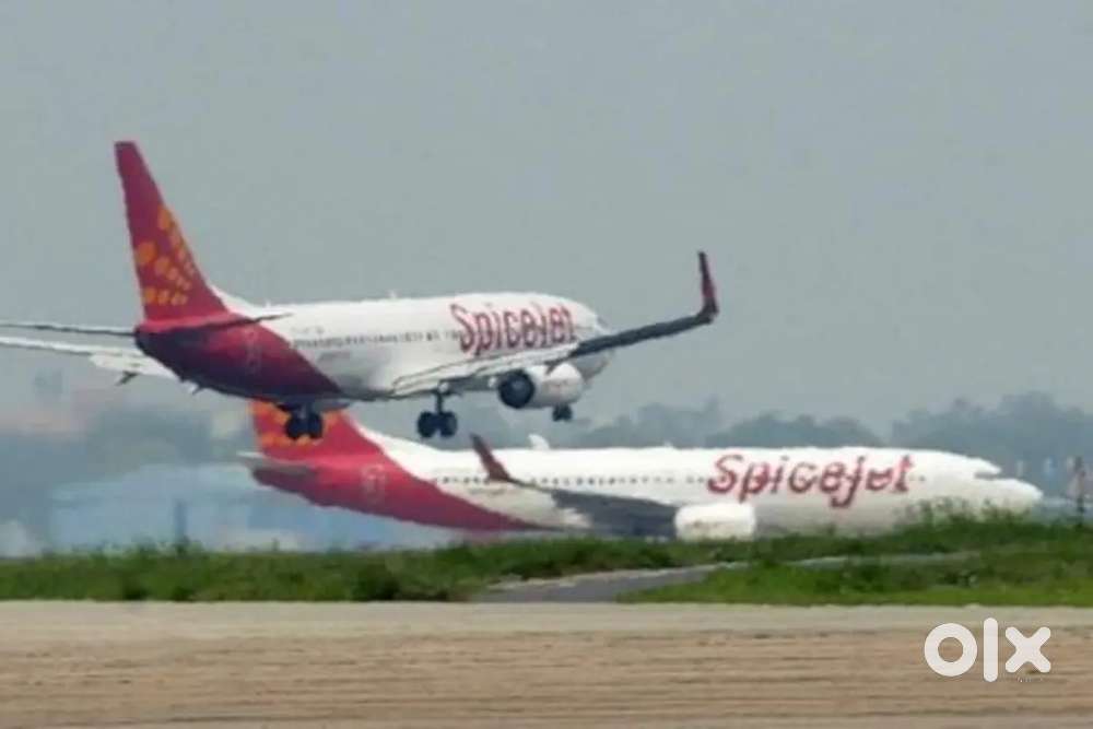 Both hiring for Lucknow Airport job immediately:-