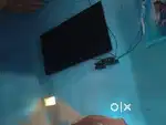 Lg oled 55 inch