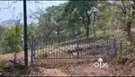 Sancoale Main Highway is just 400 mtr