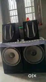 Spikars 12 inch