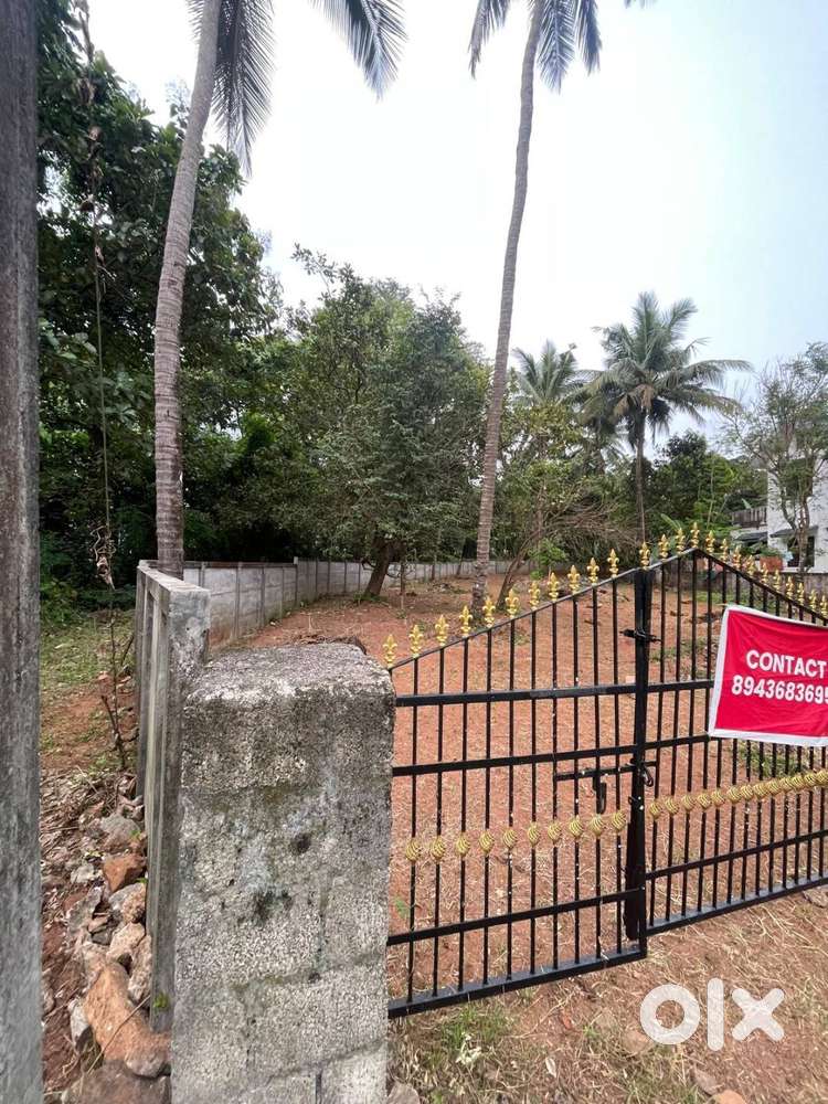 15 Cents Ready-to-Build Residential Plot in Potore, Thrissur
