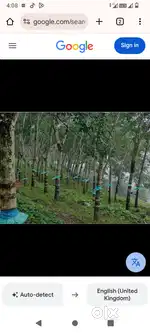 Rubber land/ Agriculture land