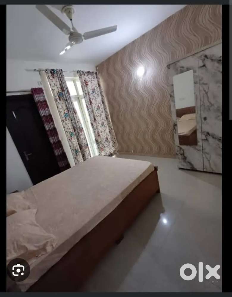 Need female roommates