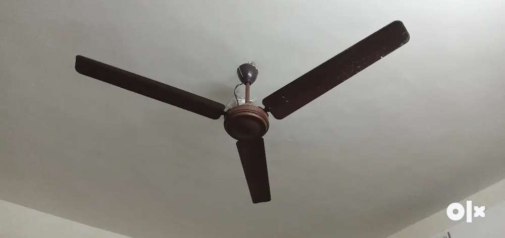 56 inch Cromption fan