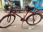 Big cycle body full condition