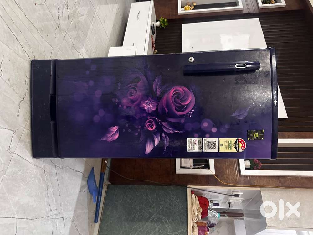 LG 185L 4-Star Refrigerator – 10 Months Old (Excellent Condition)