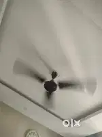 Fan for sale