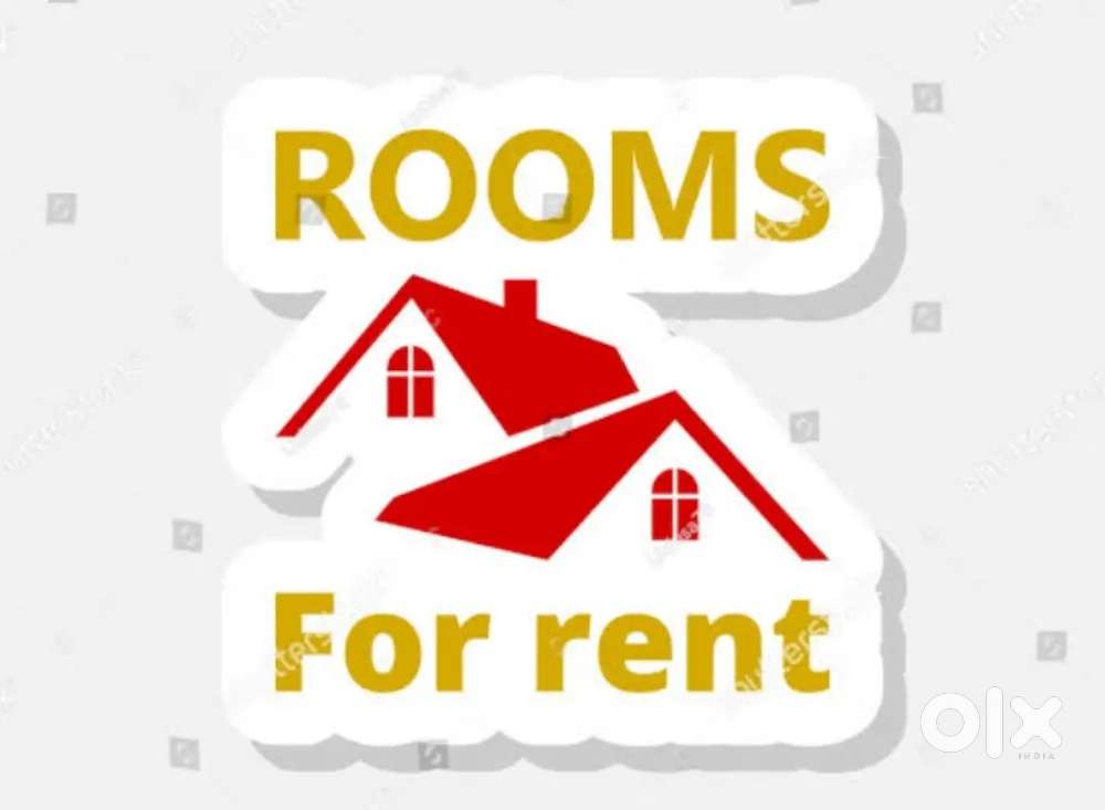 One room available for rent in a very good and a peaceful location