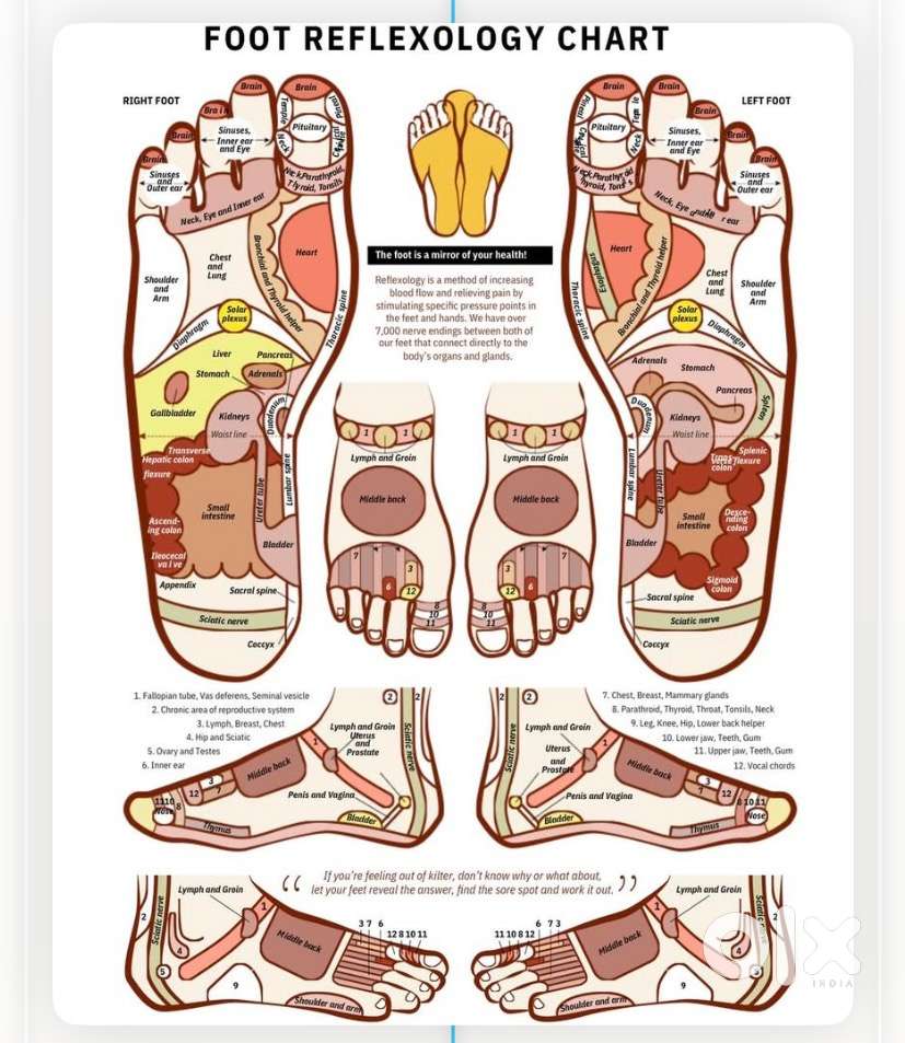 Foot  and hand Reflexology  home service Available