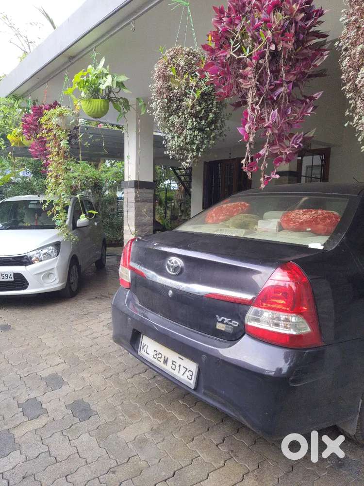 1BHK for rent in Thalavady, Aryad South, Alappuzha