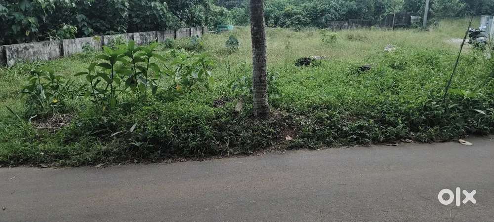 Kizhakambalam 5,6 cent plot tar road friend