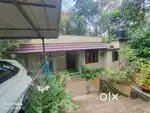 3BHK House for Sale – 12 Cents