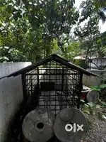 Pattikoodu/Dog Cage/Dog Nest