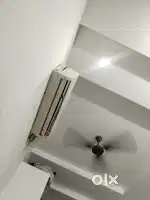 Need roomet