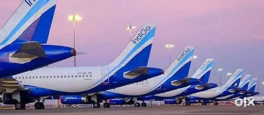 Fresher Candidate Apply Fast Ground Staff Jobs In IndiGo Airlines