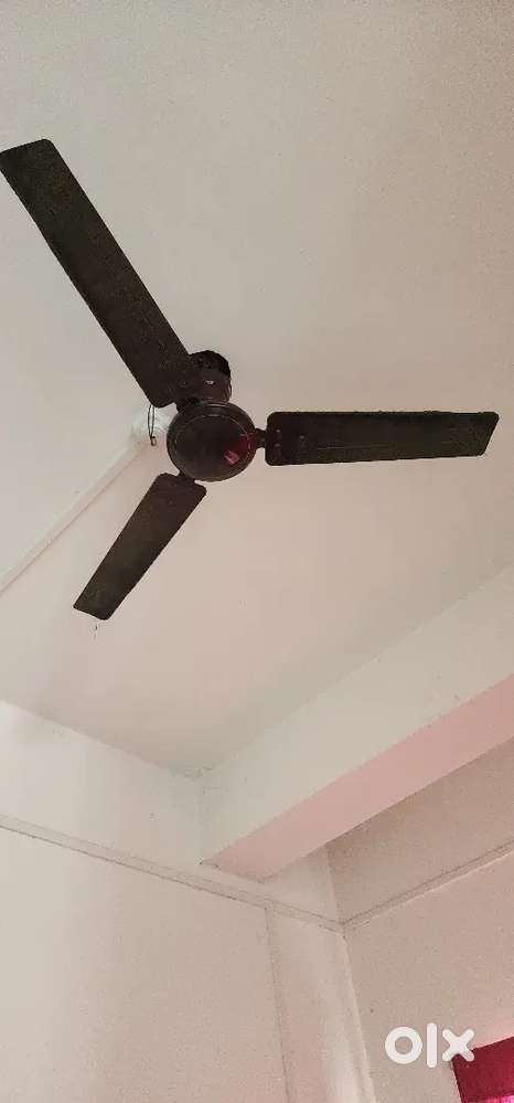 Ceiling fan