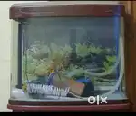 Brand new fish aquarium tank for sale