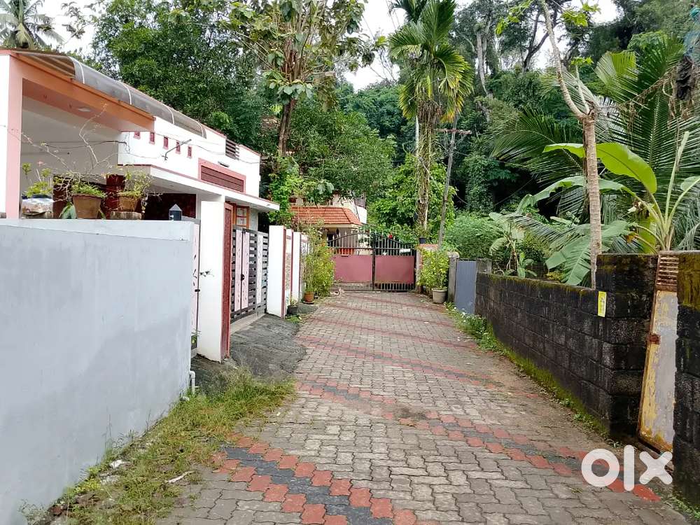 POOJAPPURA Near SBI Head Office 5 Cent Purayidam Per Cent 12 Lakhs