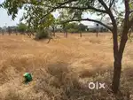 low price land sale