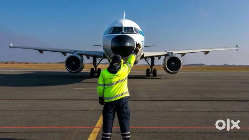 Ground Staff jobs in indigo Airlines apply fast