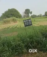 Cheapest Plot In Prayagraj 300 Gaj for 18 Lacs