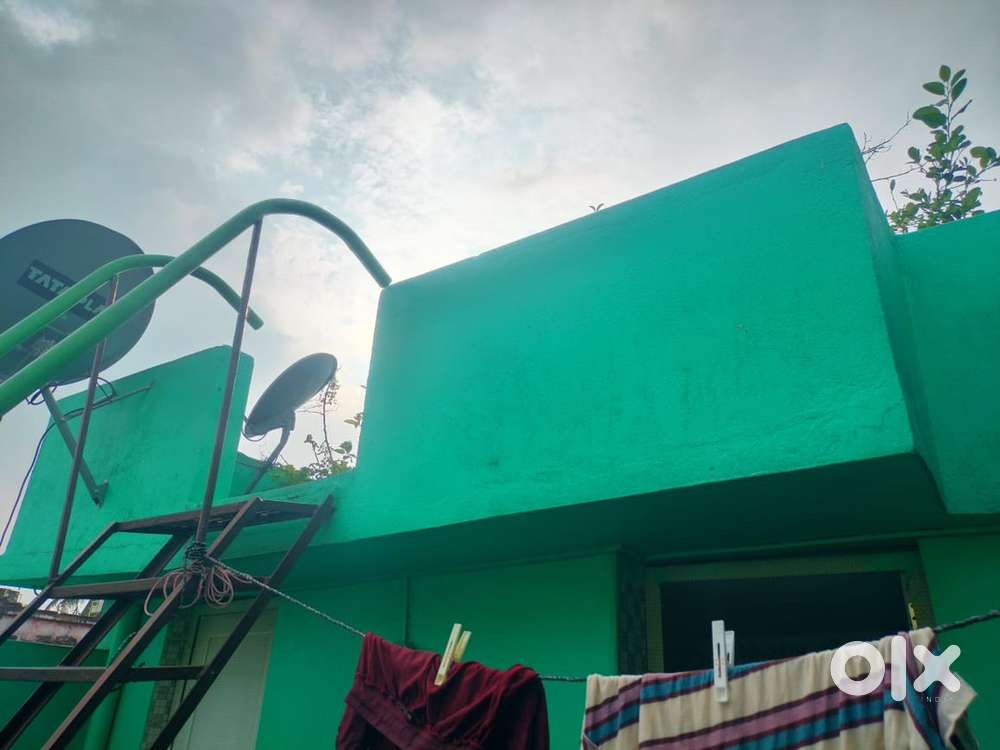 Girl roommate needed