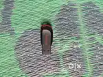 32 GB Sandisk Pen drive